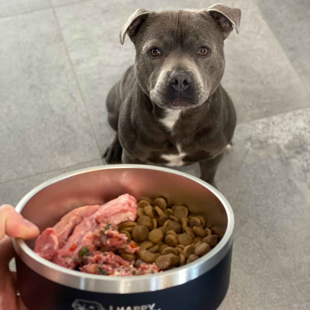 best dog food for american staffy australia