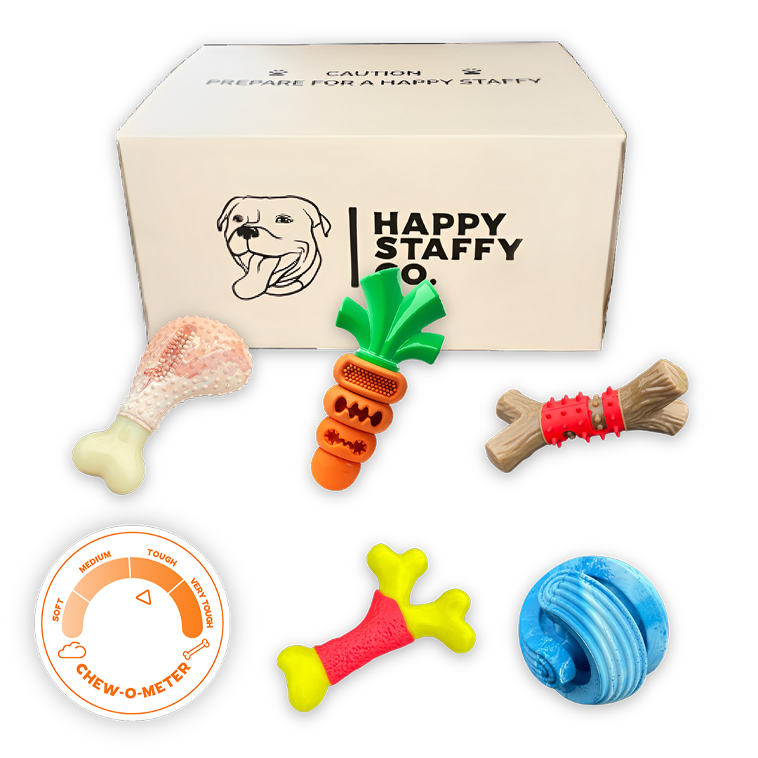 Tough chewer dog deals box