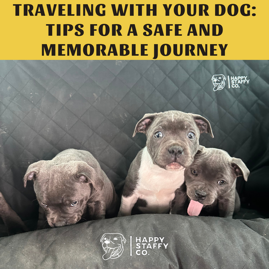 TRAVELING WITH YOUR DOG: TIPS FOR A SAFE AND MEMORABLE JOURNEY