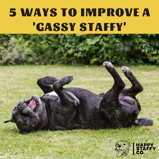 5 ways to improve a ‘Gassy Staffy'
