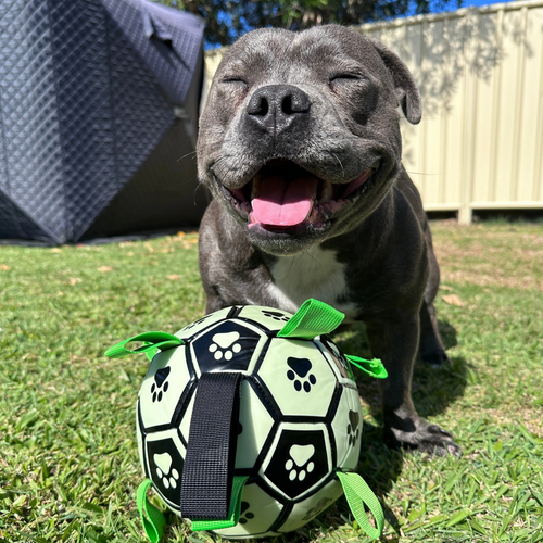 How to Wash Dog Toys: Keep Your Dog’s Toys Clean for Happy and Safe Playtime