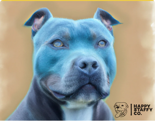 5 Skincare Solutions For Your Staffy!