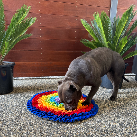 SNUFFLE MATS: THE BRAIN GYM FOR DOGS