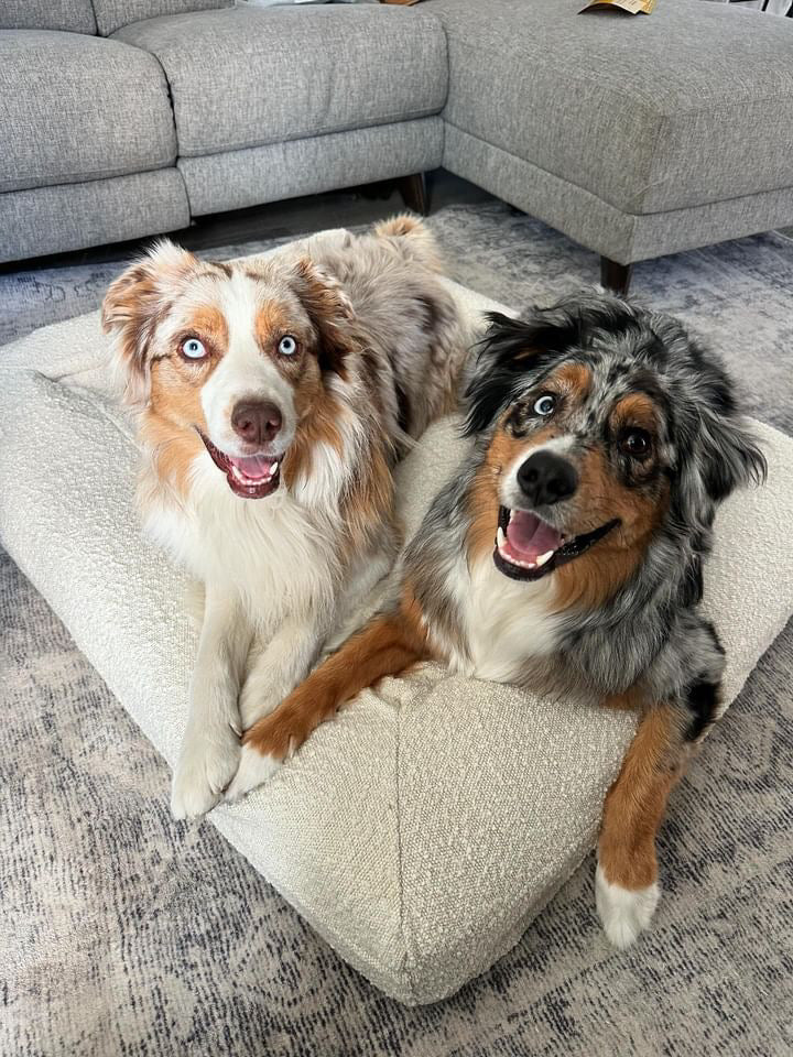 Orthopedic Memory Foam Bed + Bouclé Cover