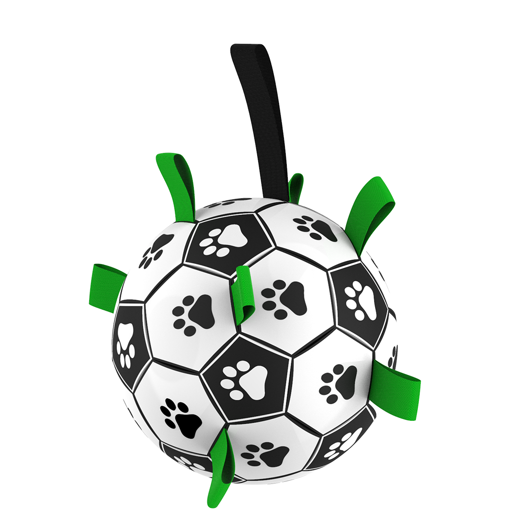 Ronaldog Soccer Ball