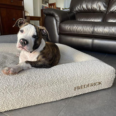 Orthopedic Memory Foam Bed + Bouclé Cover