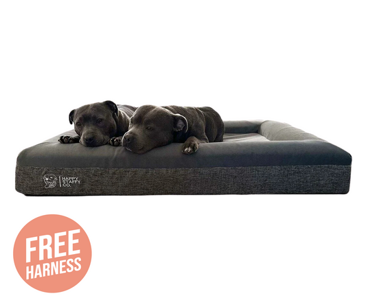 Deluxe Orthopedic Memory Foam Bed