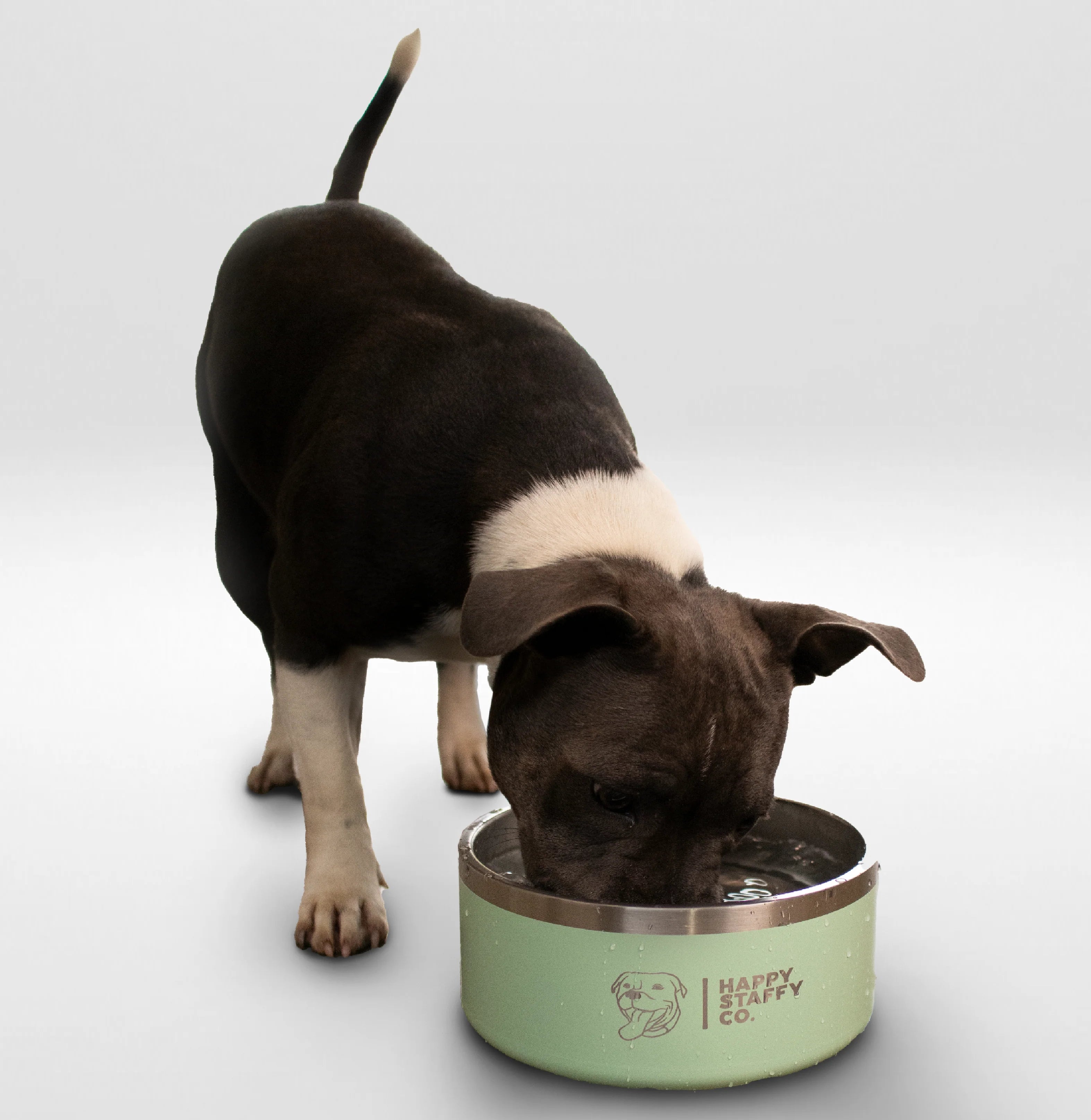 Happy Staffy Water Bowl