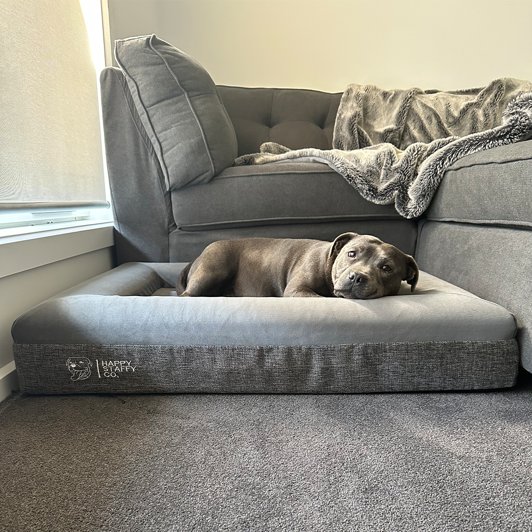 Affordable Luxurious Dog Beds Orthopedic Memory Foam Dog Beds