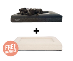 Orthopedic Memory Foam Bed + Bouclé Cover