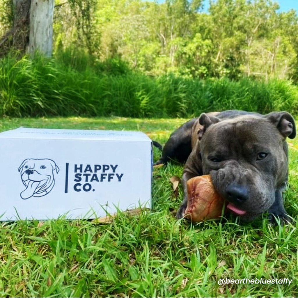 Treat & Toy Combo (Power Chewers Collection) Happy Staffy Co.