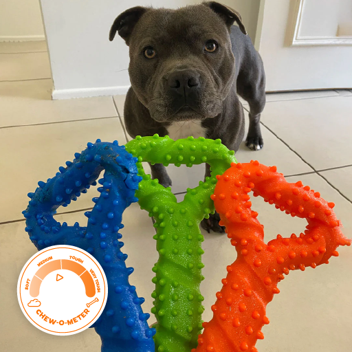 Staffy Toys Versatile Range Durable Chew Toys Happy Staffy Co