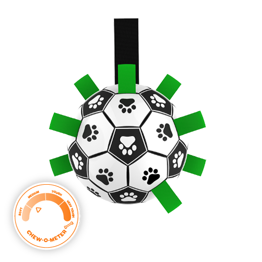 Ronaldog Soccer Ball