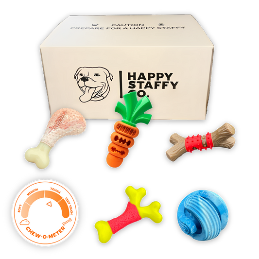 Happy Staffy Toy Box (Power Chewers Collection)