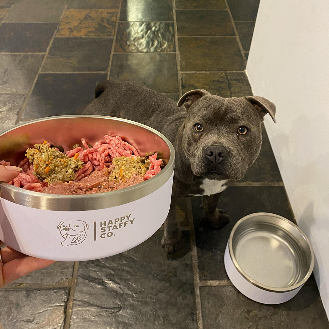 Happy Staffy Food Bowl Happy Staffy Co