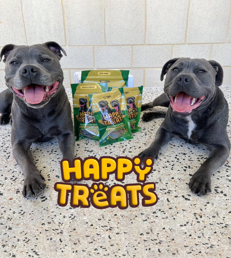 Banner- Happy Staffy Co