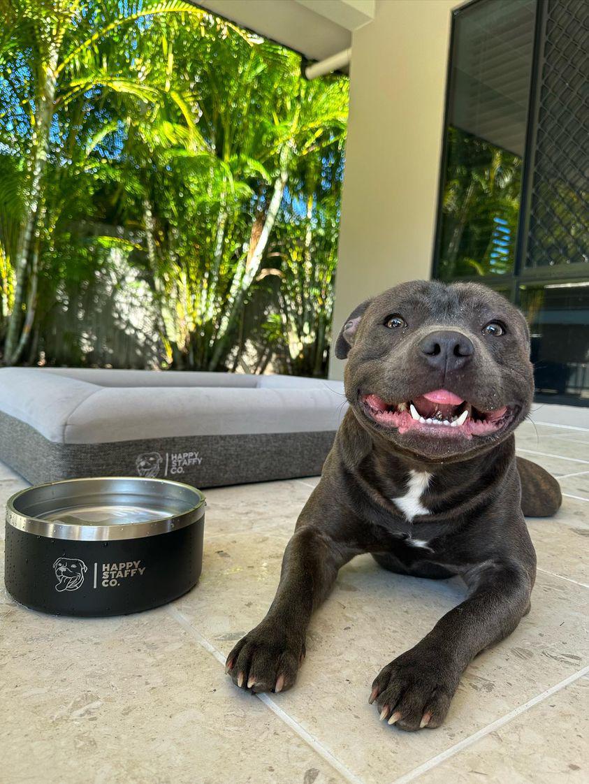 Food & Water Bowl Combo