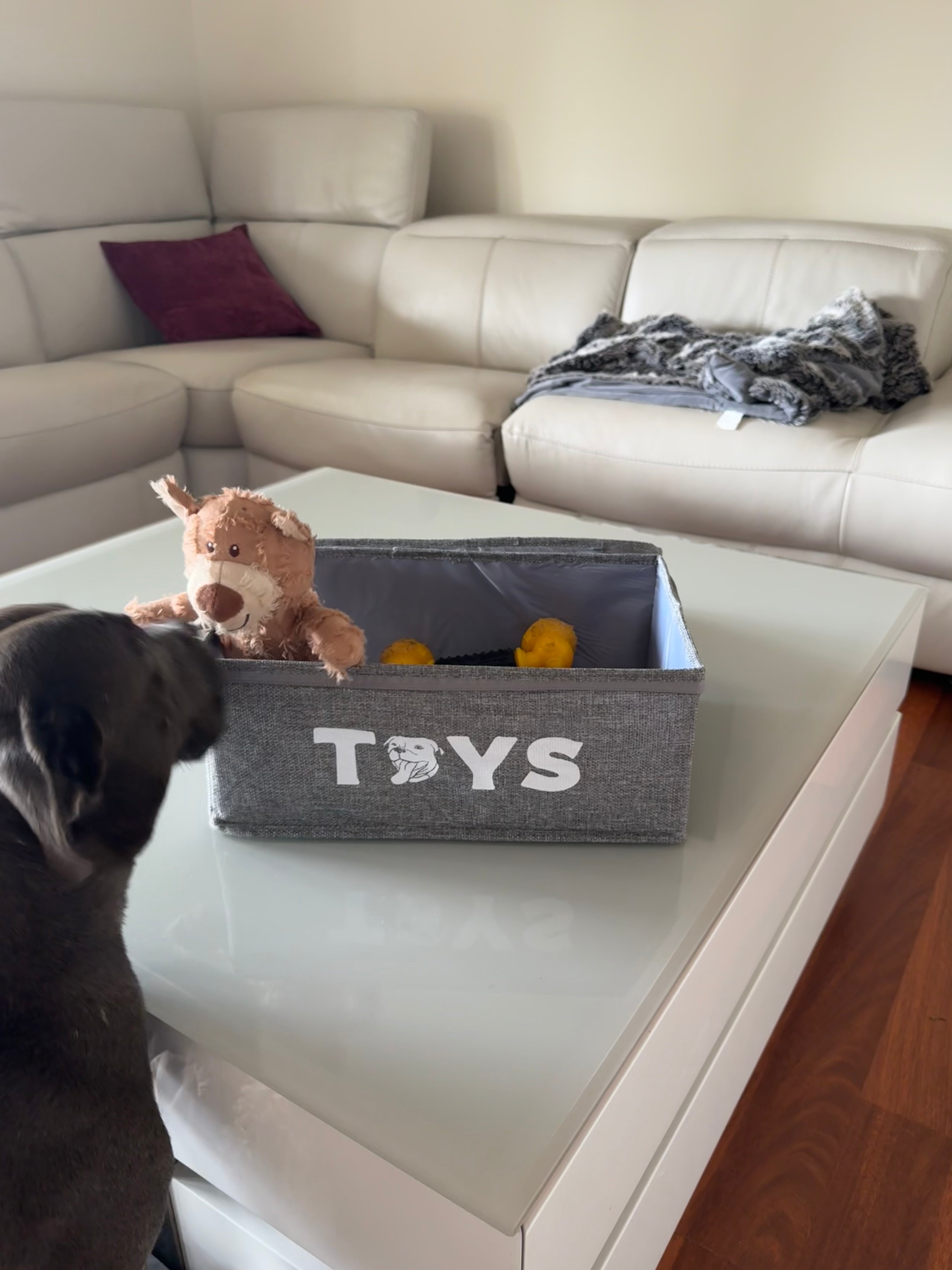 Toy Storage Box