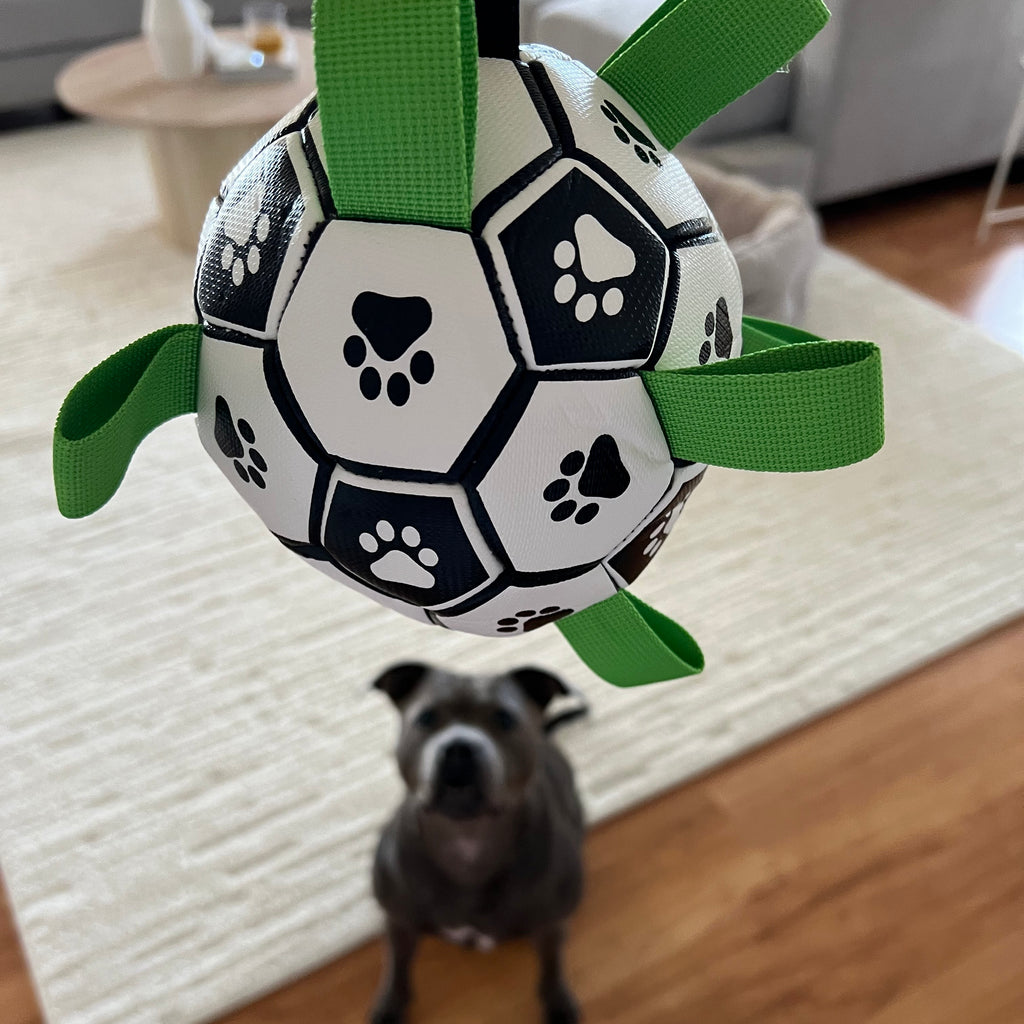 Ronaldog Soccer Ball – Happy Staffy Co.