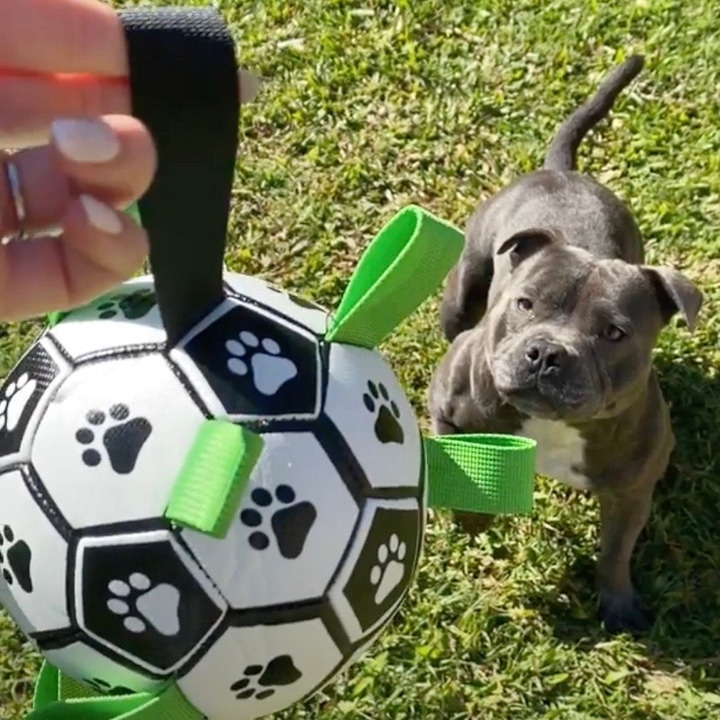 Ronaldog Soccer Ball