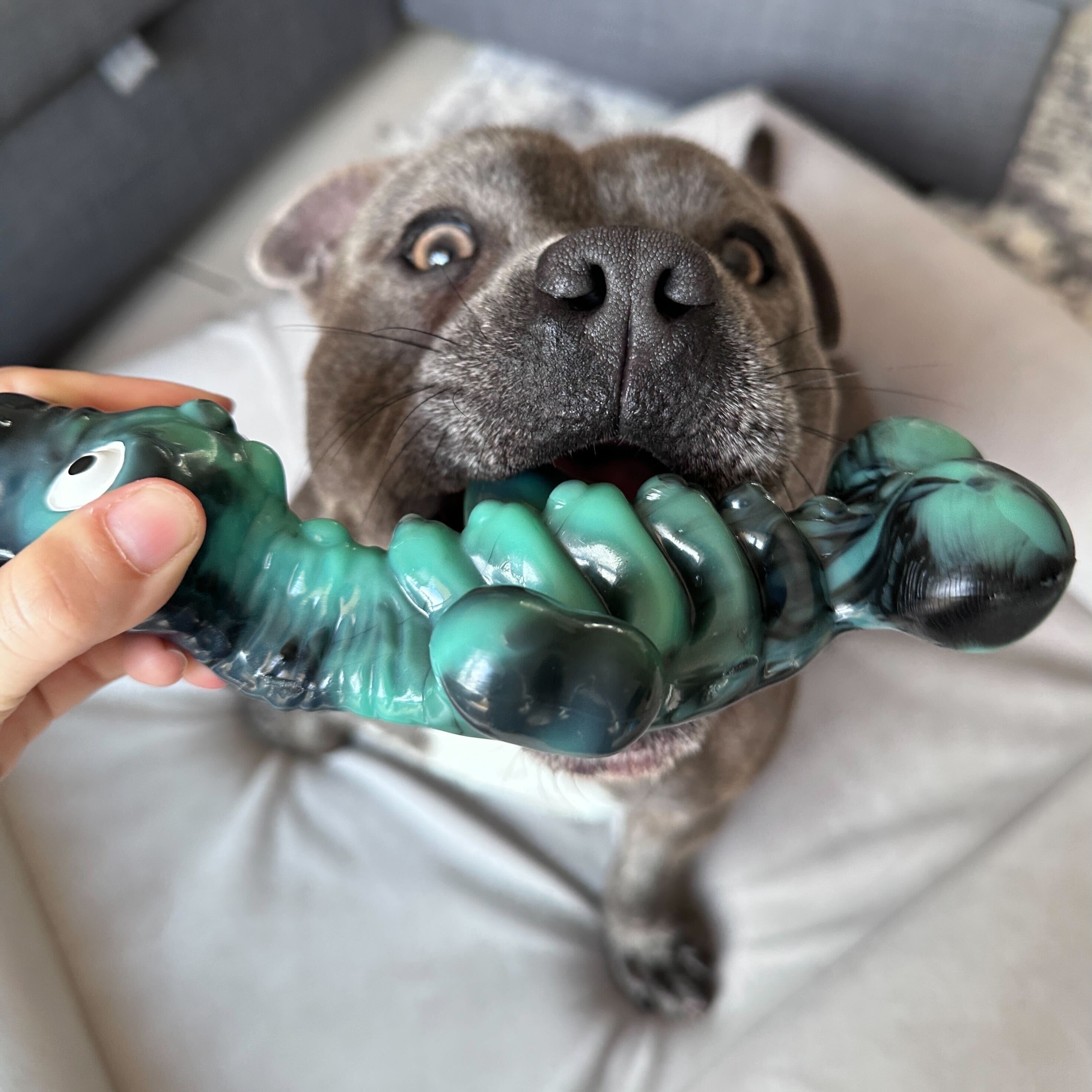 Chewzilla Sea Chomper