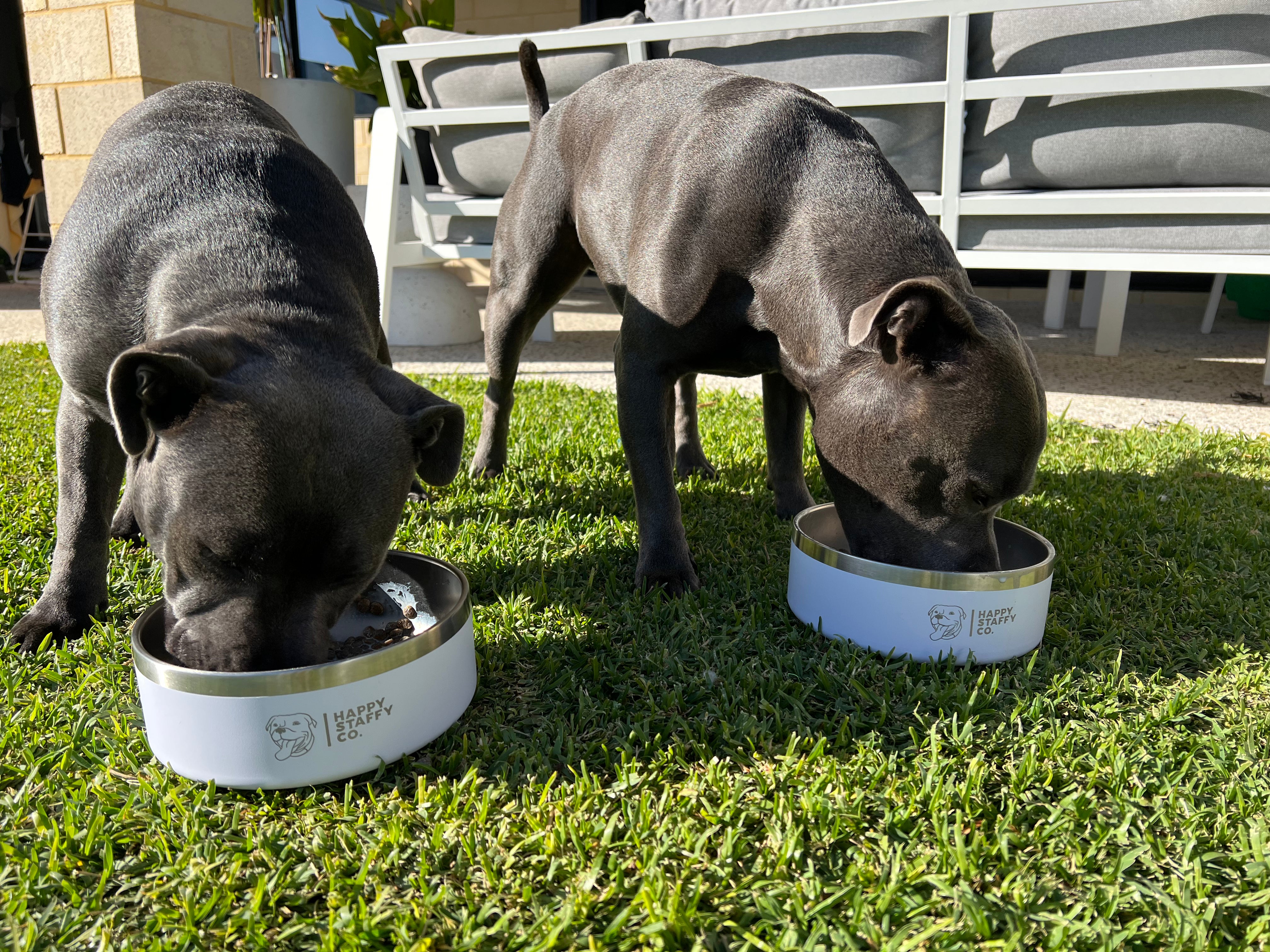 Food & Water Bowl Combo