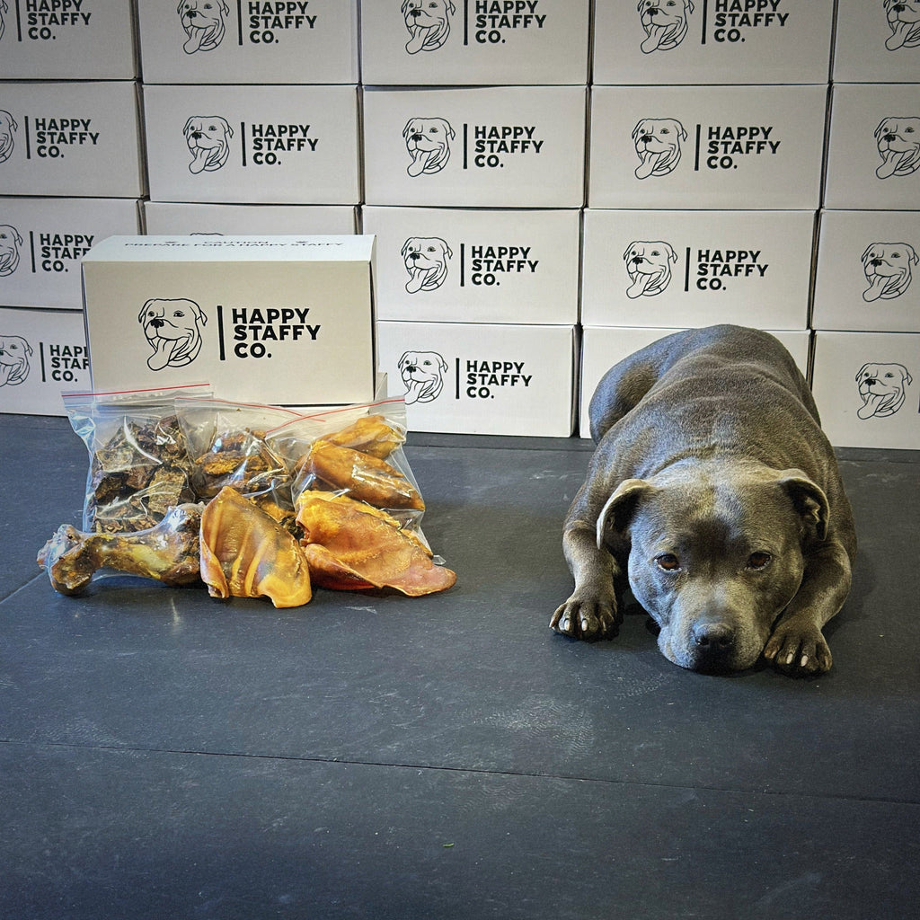 Treat & Toy Combo (Power Chewers Collection) Happy Staffy Co.