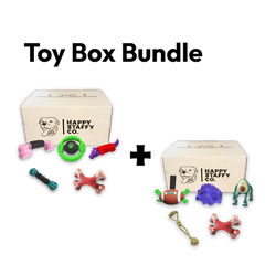 Toy Box Bundle (Classic & Power Chewers)