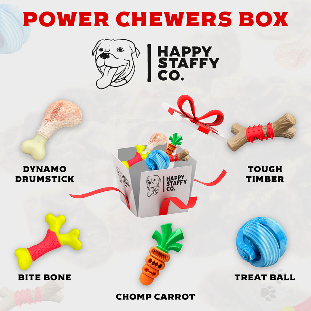 Power Chewers Toy Box