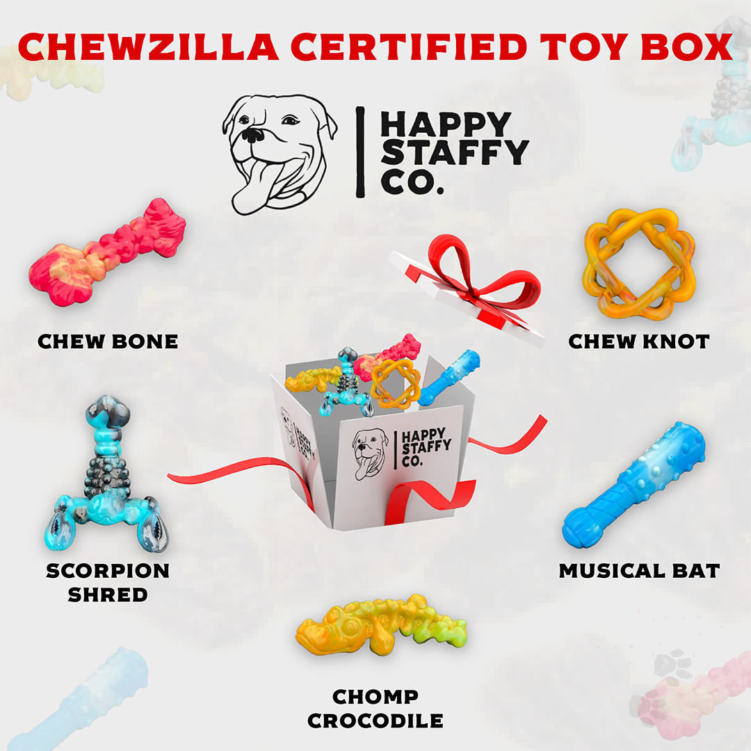 Chew proof shop dog toy box