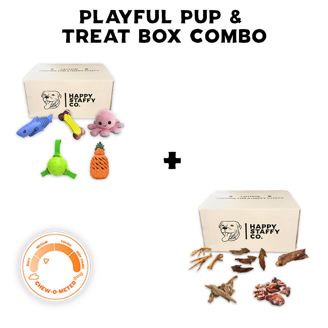 Playful Pup & Treat Box Combo