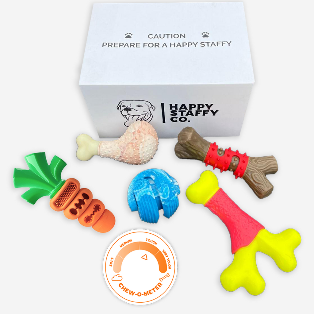 Power Chewers Toy Box Happy Staffy Co.