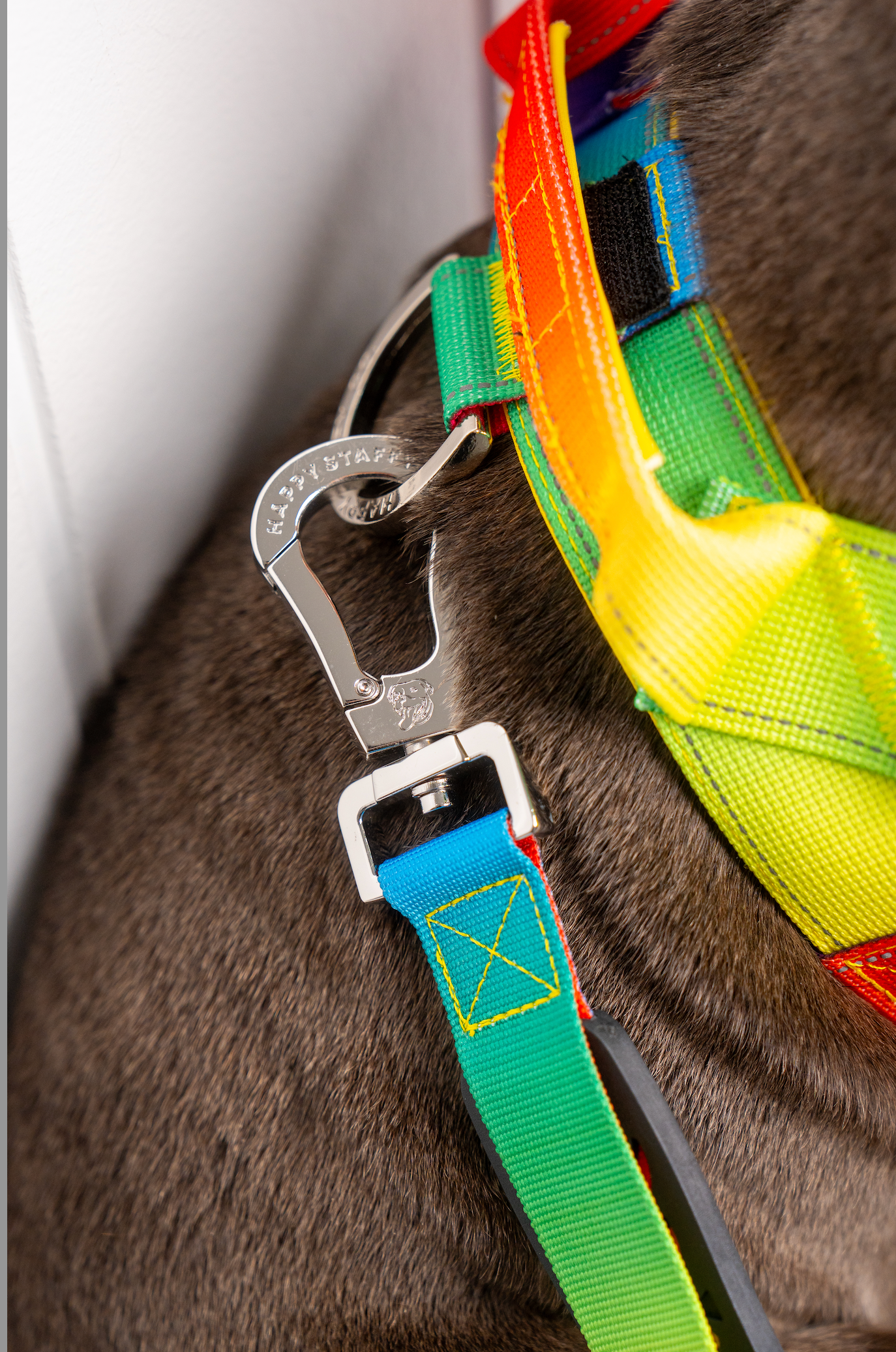 Anti shock dog shop leash