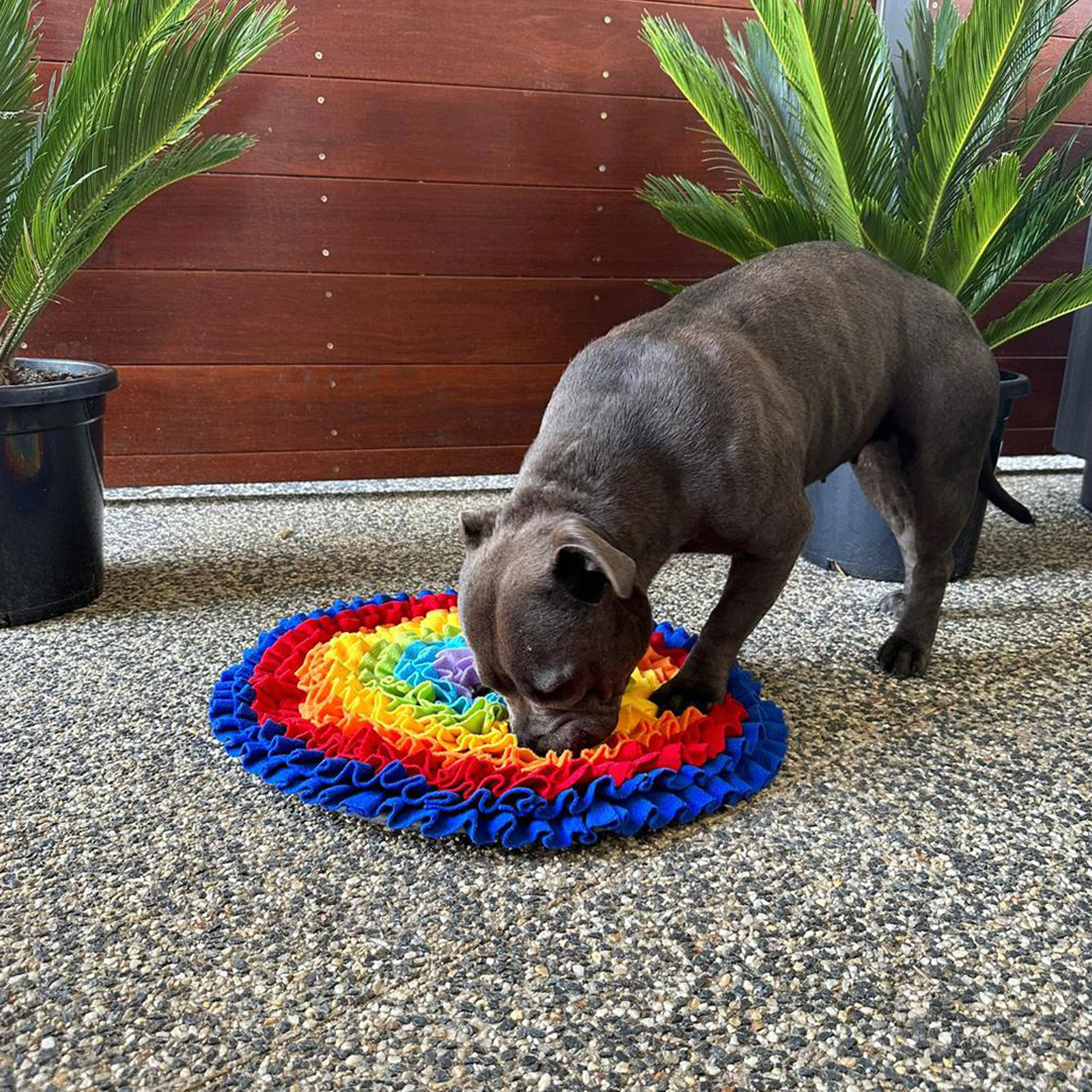 The Best Dog Snuffle Mats for Nose-Happy Pups