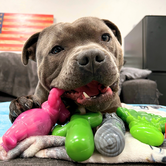 Treat & Toy Combo (Chewzilla® Certified)