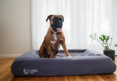 Orthopedic Memory Foam Bed + Pure Cotton Cover