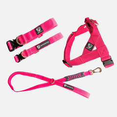 Walkies Starter Pack