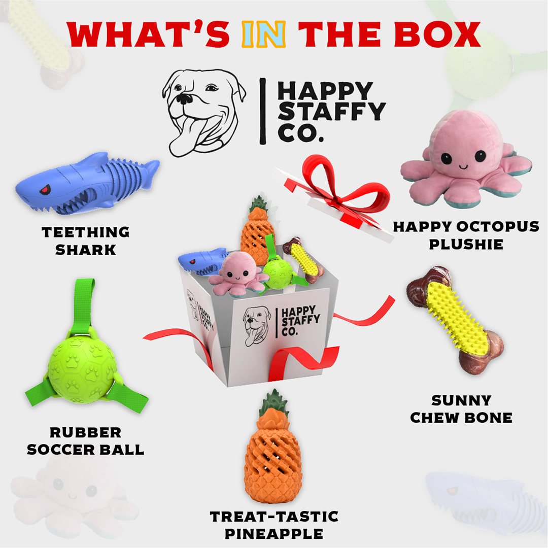 Puppy Play Box