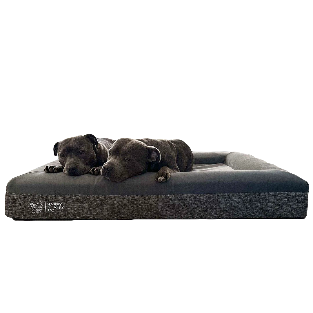 Luxurious Dog Beds Orthopedic Memory Foam Dog Beds Happy