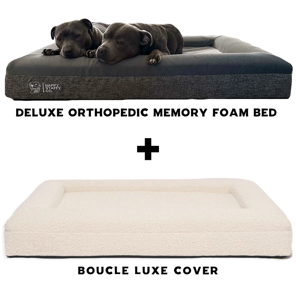 Luxurious Dog Beds Orthopedic Memory Foam Dog Beds Happy Staffy Co.