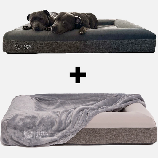 Orthopedic Memory Foam Bed + Pullover Blanket Cover