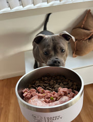 Happy Staffy Food Bowl