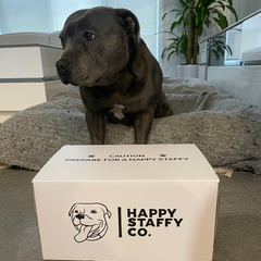 Natural Treat Box Bundle