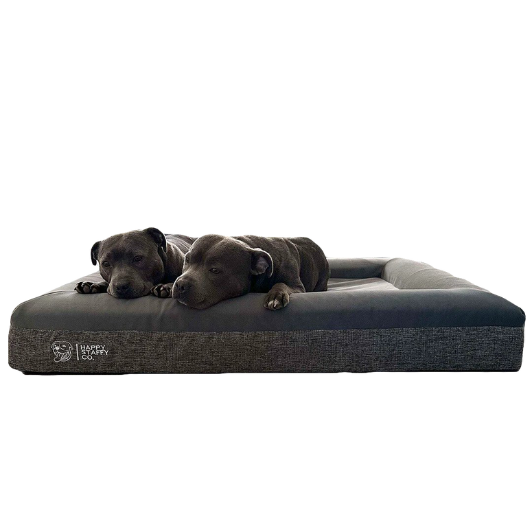 Treat Your Dog to a Soft and Stylish Bed Today Happy Staffy Co.