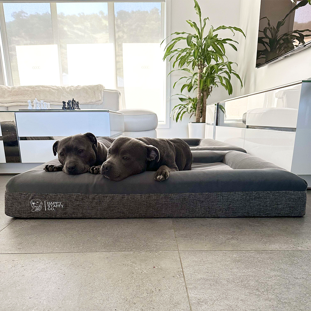 Affordable Luxurious Dog Beds Orthopedic Memory Foam Dog Beds